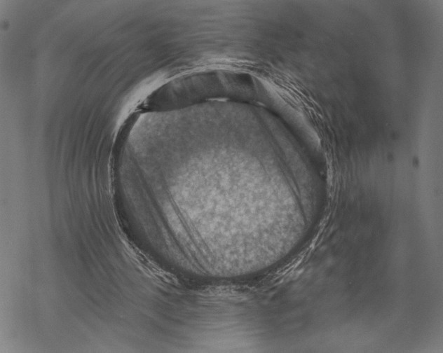 X0000067840244200605111650