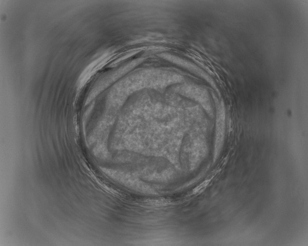 X0000067840245200605111650