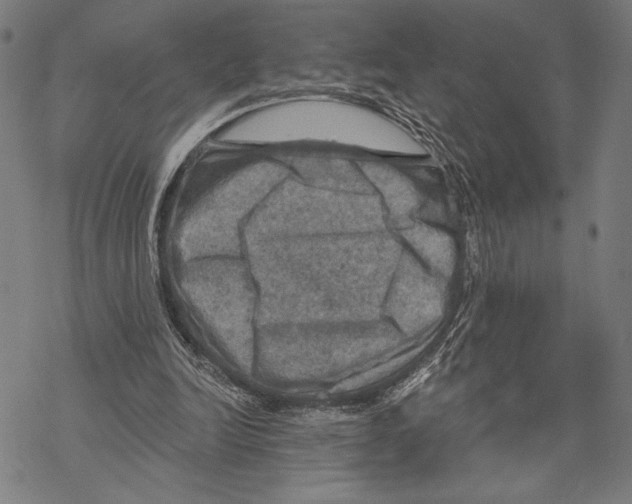 X0000067840246200605111650