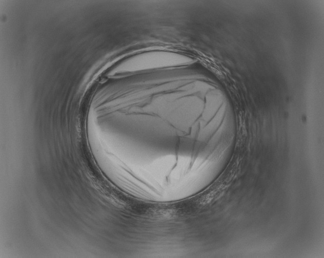 X0000067840247200605111650