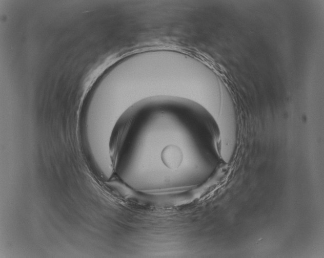 X0000067840248200605111650