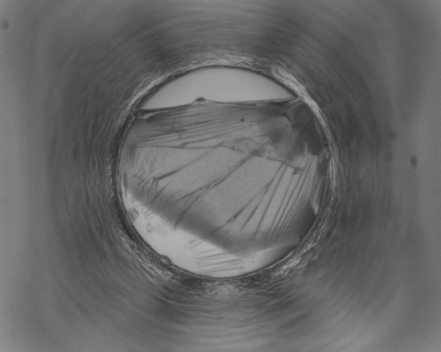 X0000067840249200605111650