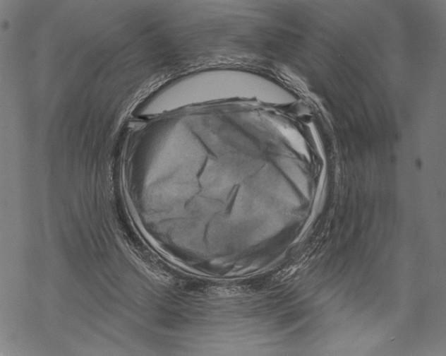 X0000067840250200605111650