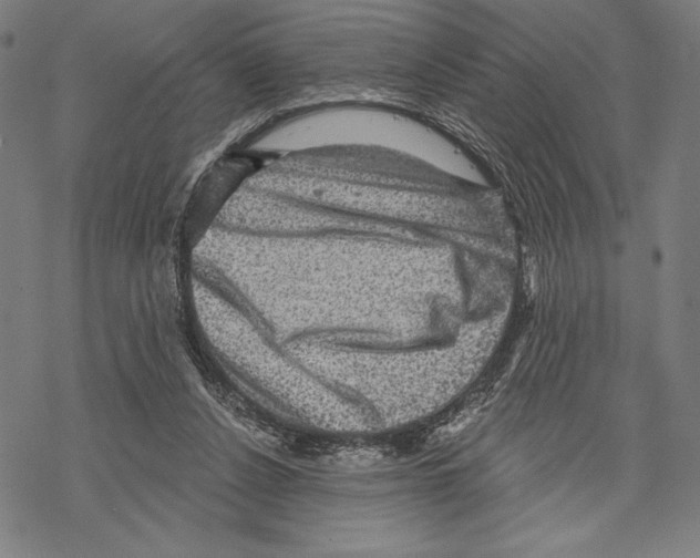 X0000067840256200605111650