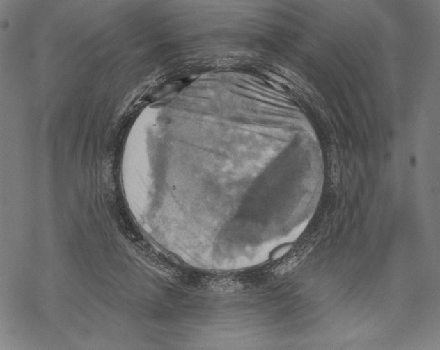 X0000067840258200605111650