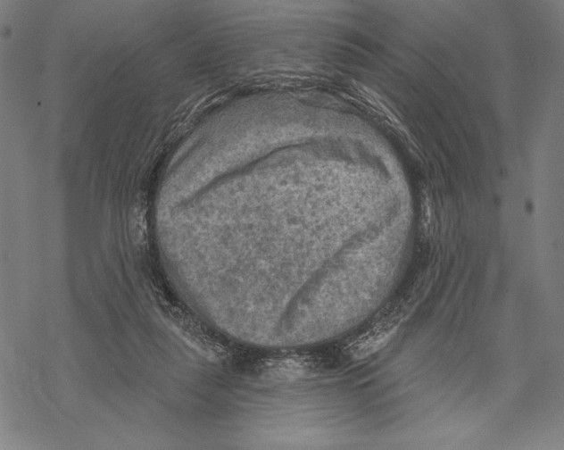 X0000067840259200605111650