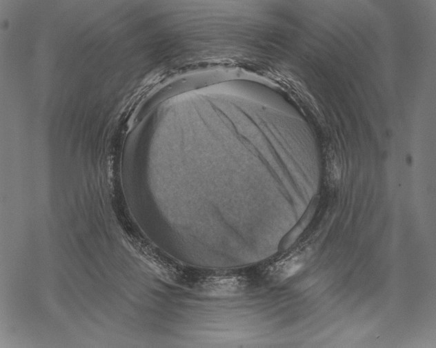 X0000067840260200605111650