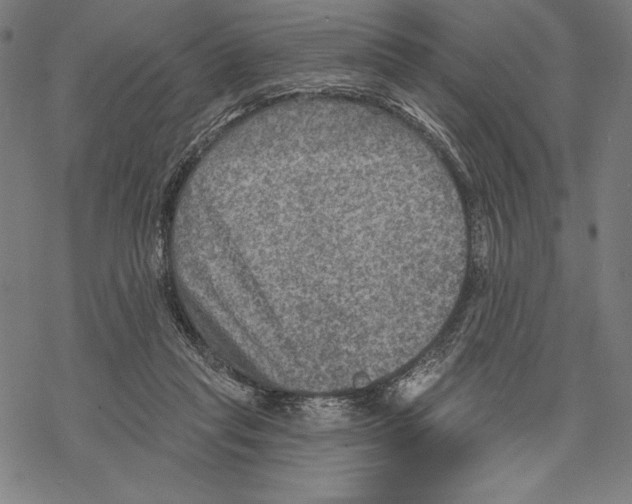 X0000067840261200605111650