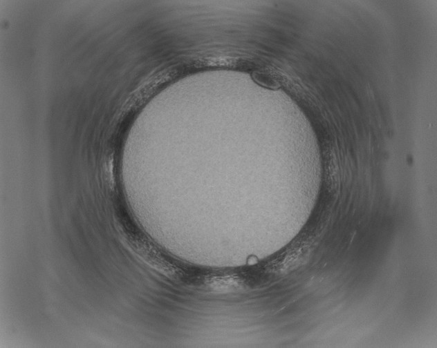 X0000067840262200605111650