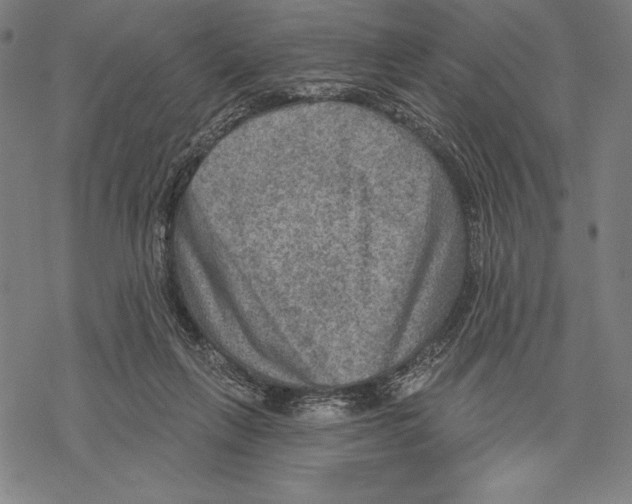 X0000067840263200605111650