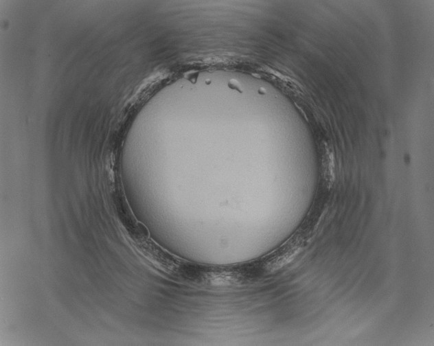 X0000067840264200605111650