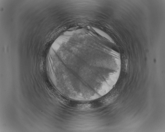 X0000067840266200605111650