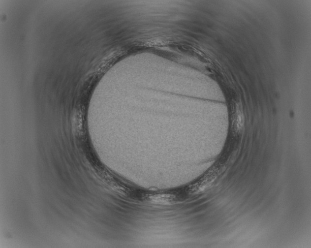 X0000067840268200605111650