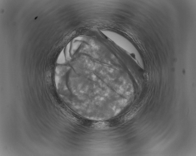 X0000067840269200605111650