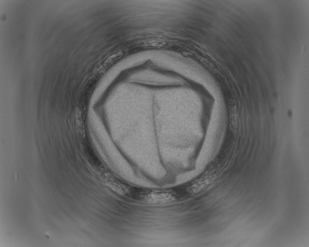 X0000067840270200605111650