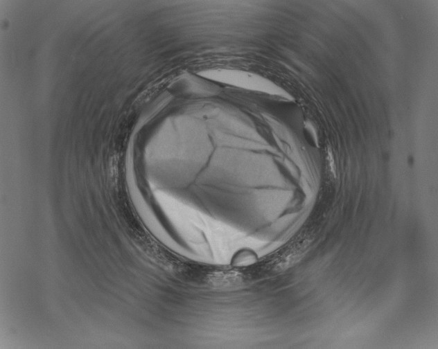 X0000067840271200605111650