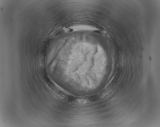 X0000067840272200605111650