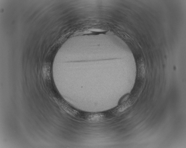 X0000067840274200605111650