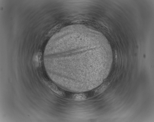 X0000067840275200605111650