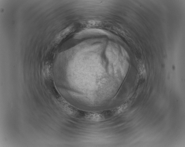 X0000067840276200605111650