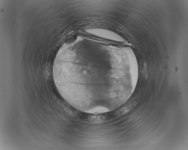 X0000067840277200605111650