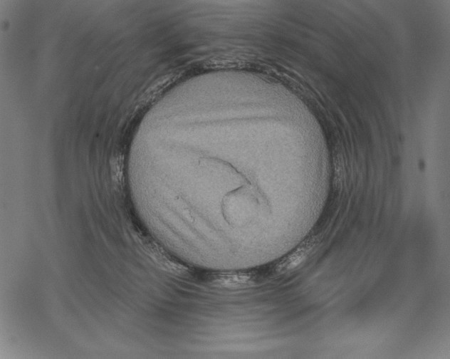 X0000067840278200605111650