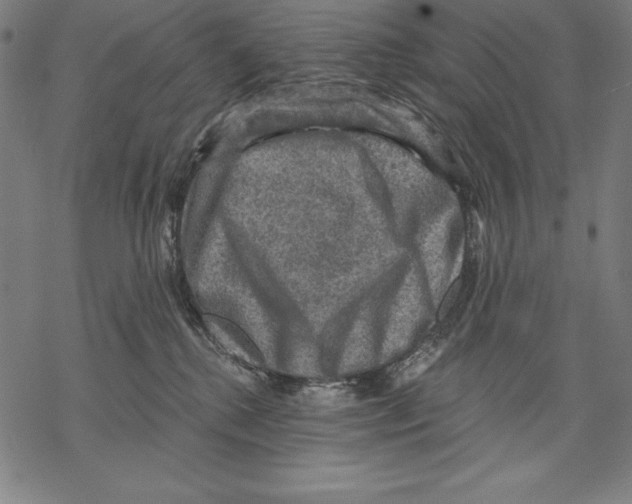 X0000067840280200605111650