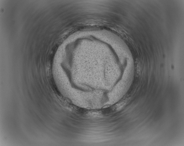 X0000067840283200605111650