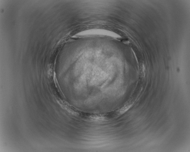 X0000067840284200605111650