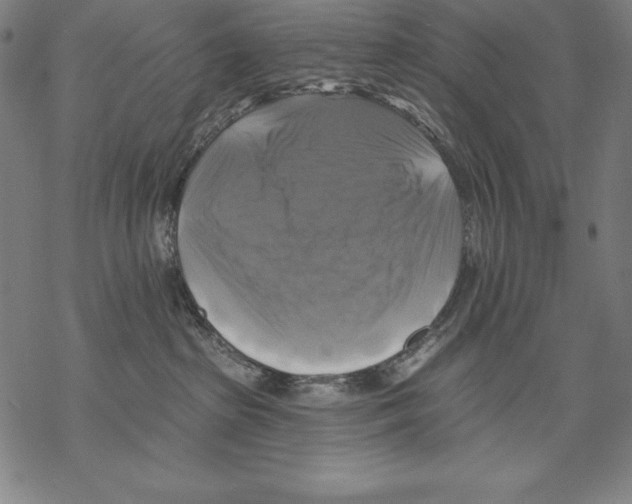 X0000067840285200605111650