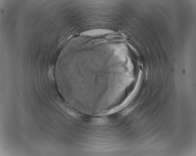 X0000067840286200605111650