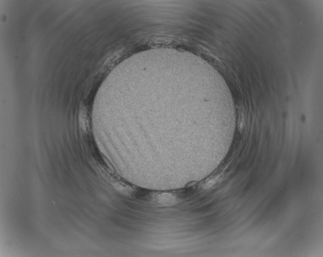 X0000067840287200605111650