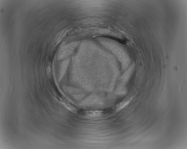 X0000067840288200605111650