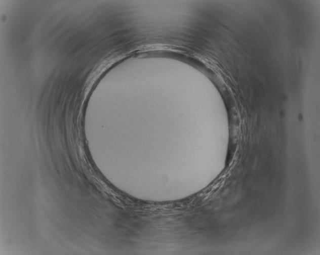 X0000067840289200605111649