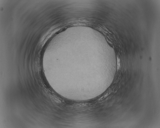 X0000067840291200605111649