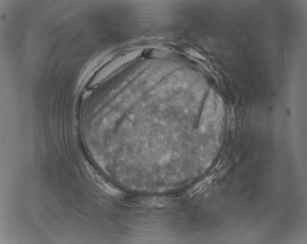 X0000067840293200605111649