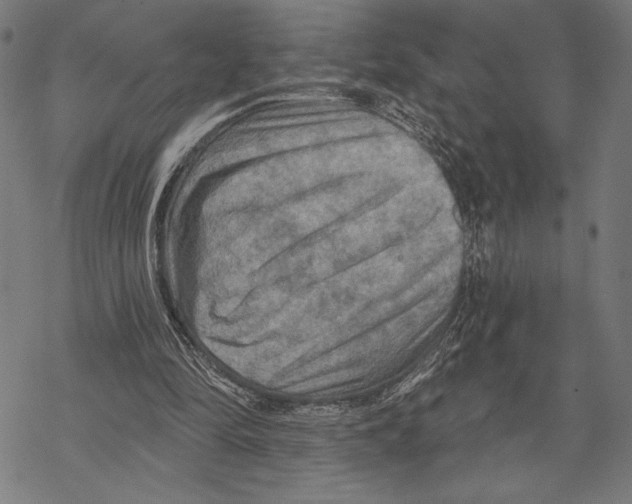 X0000067840294200605111649