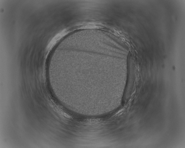 X0000067840296200605111649