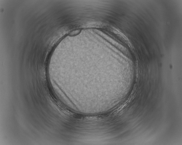 X0000067840298200605111649