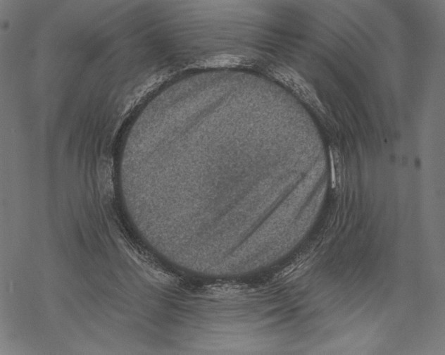 X0000067840300200605111649