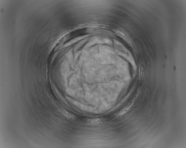 X0000067840301200605111649