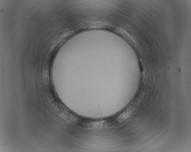 X0000067840306200605111649