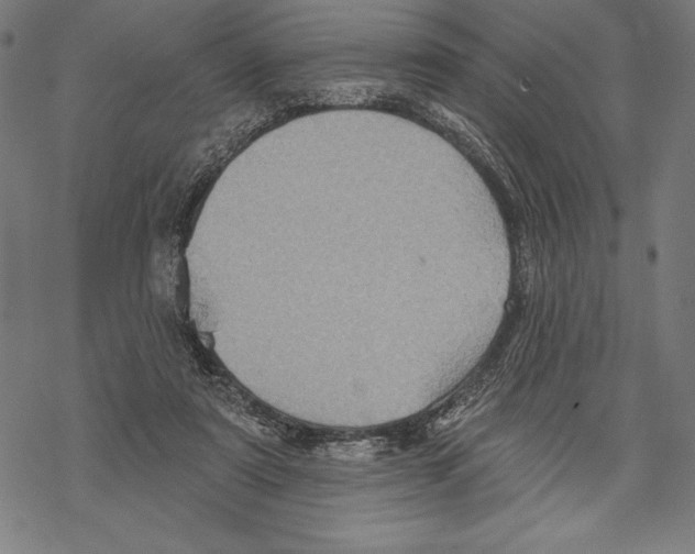 X0000067840307200605111649