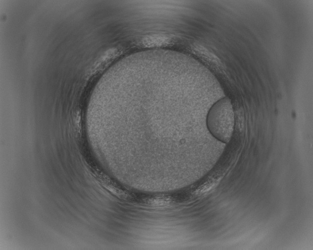 X0000067840308200605111649