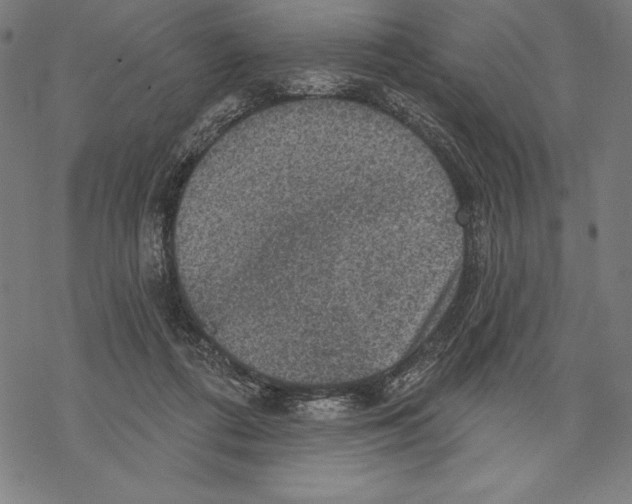 X0000067840312200605111649