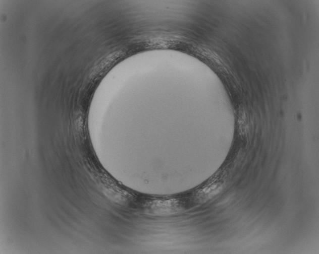 X0000067840314200605111649