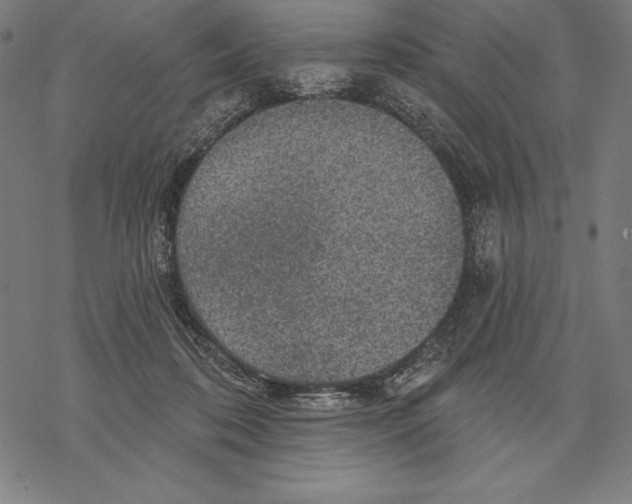 X0000067840316200605111649