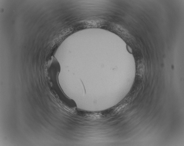 X0000067840318200605111649