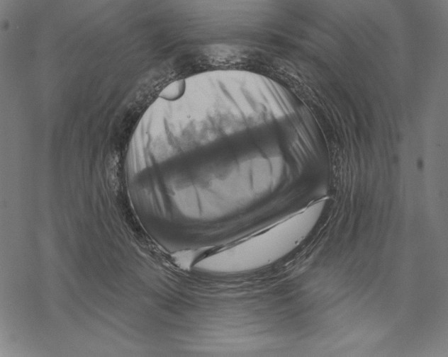 X0000067840319200605111649