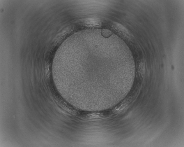 X0000067840320200605111649